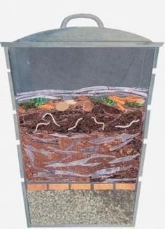 Ali veste, kako narediti zaboj za kompostiranje črvov doma?
