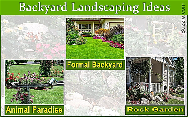 Ландшафтен дизайн на задния двор - зашеметяващи идеи за озеленяване на задния двор