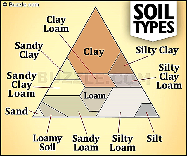 Une liste des différents types de sols que vous n’avez jamais vus