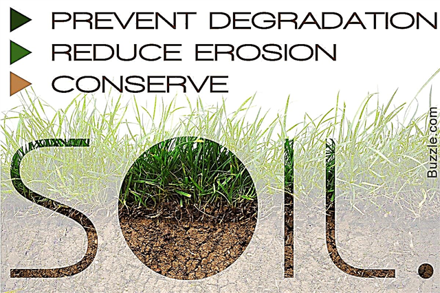 10 способів збереження ґрунту, у які ви фактично не повірите