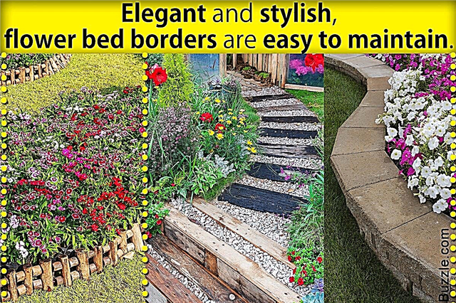 Шарена граница цветног кревета: Атрактивне идеје за ивице цветног кревета