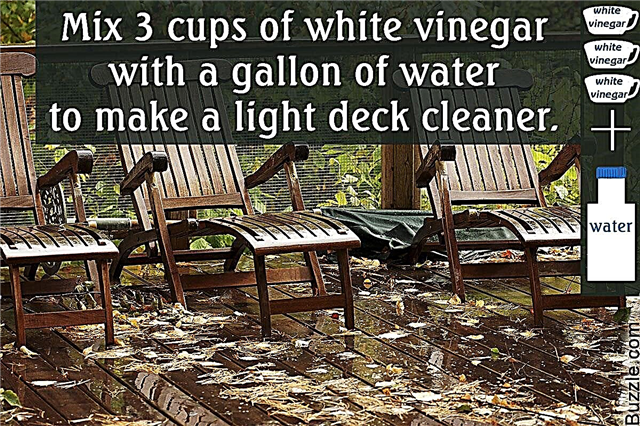Domáce recepty na čistenie paluby, vďaka ktorým bude váš priestor šumivý