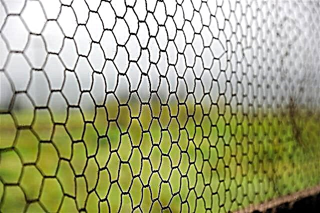 טיפים כיצד להתקין גדר חוט עוף כדי להגן על הגן שלך