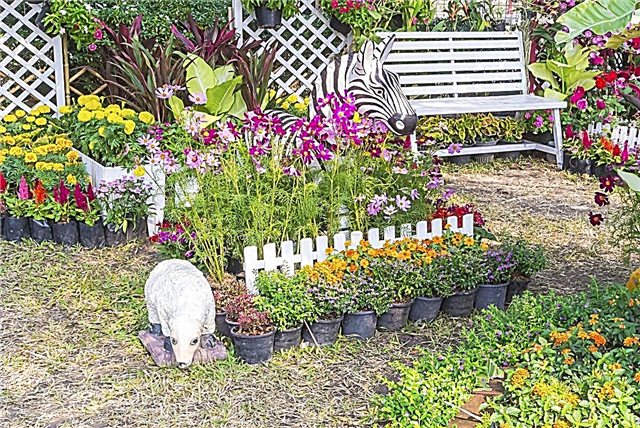 Fabelhafte und innovative Ideen für die Gartengestaltung mit kleinem Budget