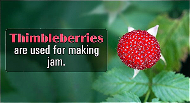 Πώς να καλλιεργήσετε Thimbleberries