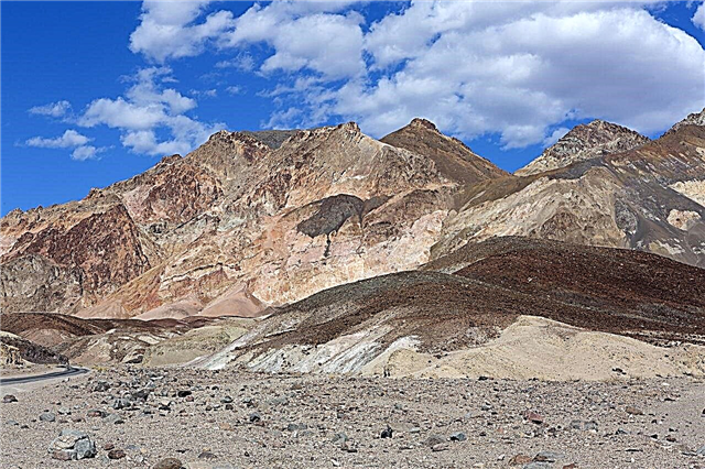 Tanaman Gurun Gobi