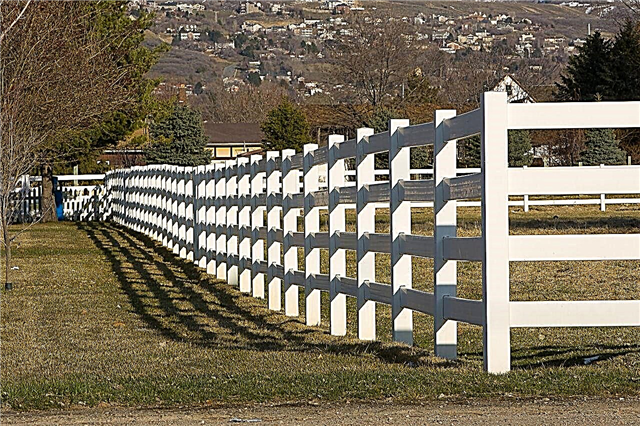 Cena cedrového plotu