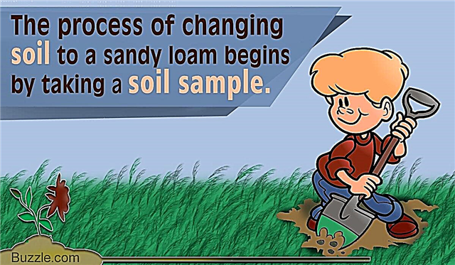 Preprosta navodila po korakih, kako narediti peščeno ilovnata tla