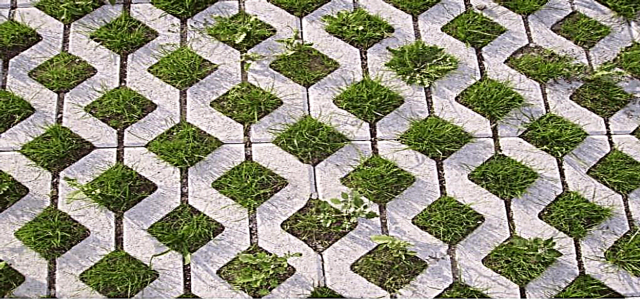 Green Pavement skapar vackra miljölösningar