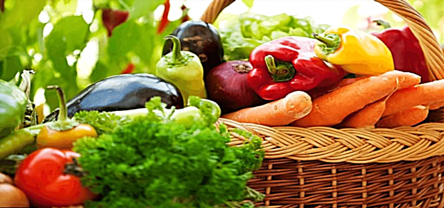 Leitfaden für Anfänger im Gemüsegarten