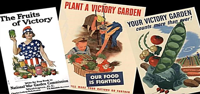 Victory Gardening im Jahr 2020: Der Frühling wird nicht abgesagt